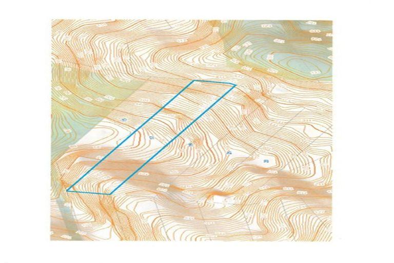 Photo of property in 19 Hayes Road, Henderson Valley, Auckland, 0612