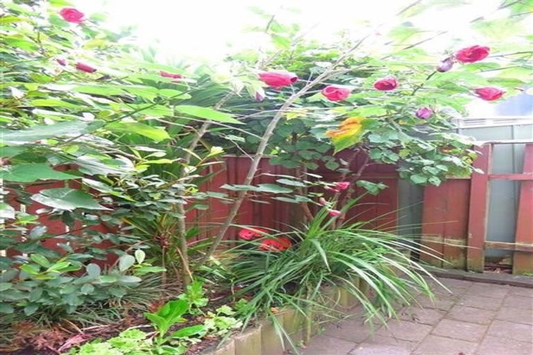 Photo of property in 3/58 Paynters Avenue, Strandon, New Plymouth, 4312