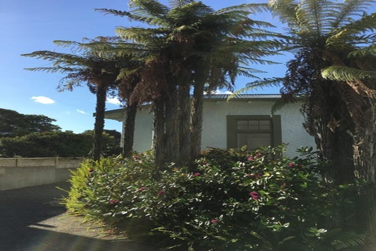 Photo of property in 34 Manson Street, Terrace End, Palmerston North, 4410