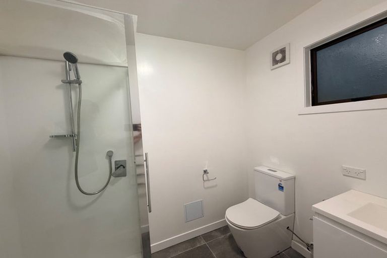 Photo of property in 4/6 Balfour Street, Mornington, Wellington, 6021