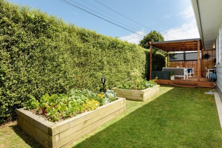 Photo of property in 51 Humber Crescent, Gate Pa, Tauranga, 3112