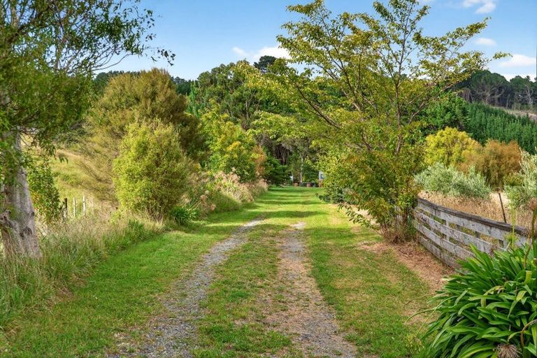 Photo of property in 5528 Castlepoint Road, Tinui, Masterton, 5889