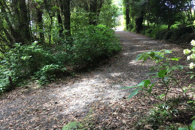 Photo of property in 299 Pekanui Road, Puketotara, Te Awamutu, 3876