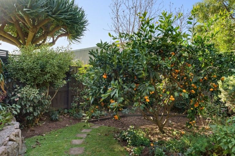 Photo of property in 279b Maungatapu Road, Maungatapu, Tauranga, 3112