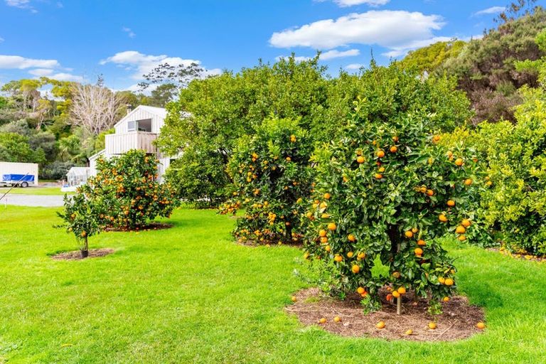 Photo of property in 79c Jack Boyd Drive, Mangawhai Heads, Kaiwaka, 0573