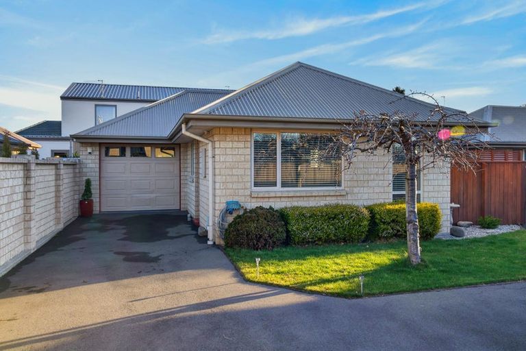 Photo of property in 61a Frankleigh Street, Somerfield, Christchurch, 8024