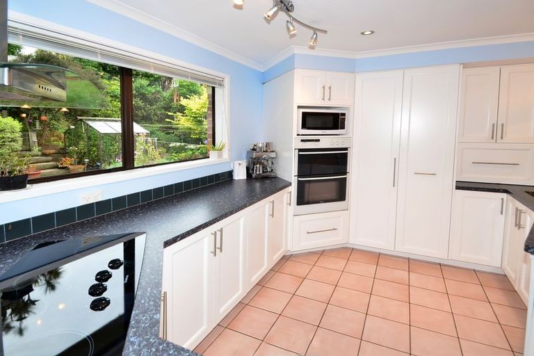 Photo of property in 56 Arawa Street, Tainui, Dunedin, 9013