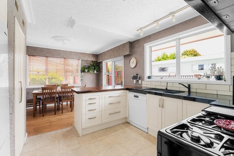 Photo of property in 4 Thomson Avenue, Dinsdale, Hamilton, 3204