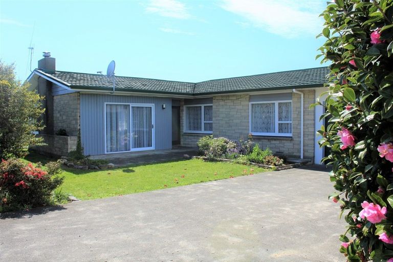Photo of property in 38 Guy Street, Dannevirke, 4930