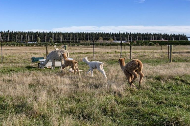 Photo of property in 529 Downs Road, Eyrewell, Rangiora, 7476