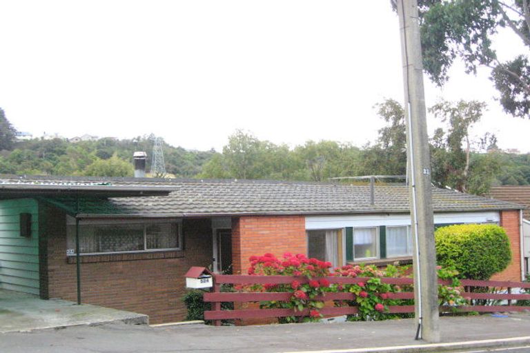 Photo of property in 528 South Road, Calton Hill, Dunedin, 9012