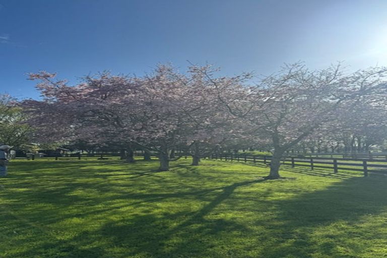 Photo of property in 921 Gordonton Road, Gordonton, Hamilton, 3281