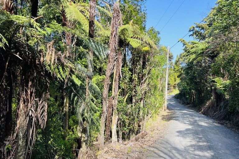 Photo of property in 600 Buffalo Road, Coromandel, 3506