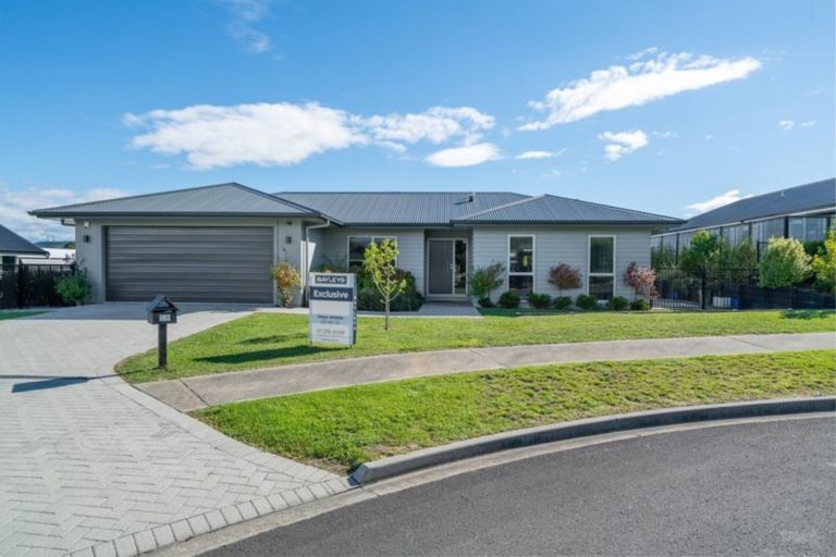 Photo of property in 15 The Pheasant Tail, Nukuhau, Taupo, 3330