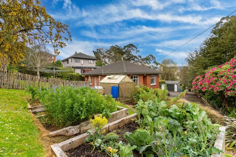 Photo of property in 59 Aotea Street, Tainui, Dunedin, 9013