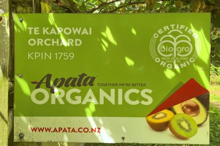 Photo of property in 29 I'anson Road, Minden, 3179