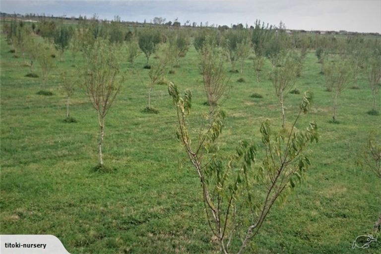 Photo of property in 324 Greig Road, Matata, Whakatane, 3194