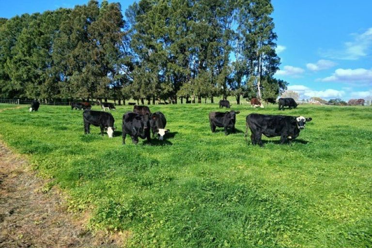 Photo of property in 105 Willis Road, Ngahinapouri, Hamilton, 3290