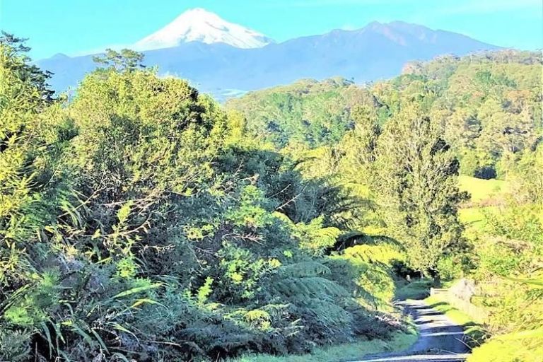 Photo of property in 280 Koru Road, Koru, New Plymouth, 4374