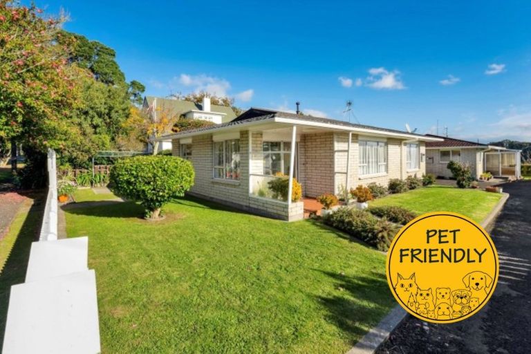 Photo of property in 1/44 Ballance Street, Lower Vogeltown, New Plymouth, 4310