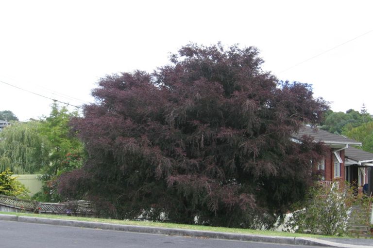 Photo of property in 1/9 Brian Avenue, Forrest Hill, Auckland, 0620