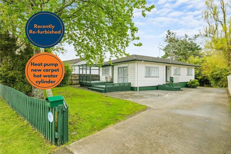 Photo of property in 137 Universal Drive, Henderson, Auckland, 0610