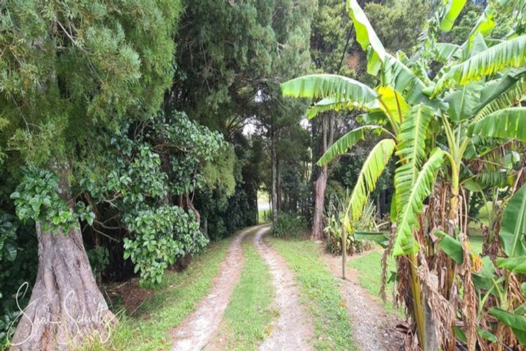 Photo of property in 105 Gorge Road, Maungaturoto, 0520