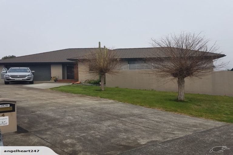 Photo of property in 4 Kirkpatrick Place, Havelock North, 4130