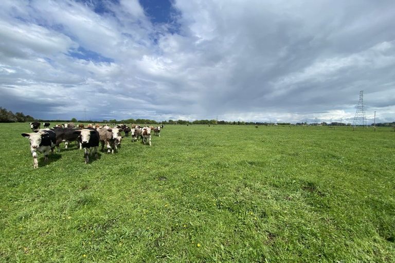 Photo of property in 104 Taplin Road, Tamahere, Hamilton, 3493