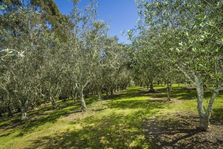 Photo of property in 102 Wright Road, Dairy Flat, 0794