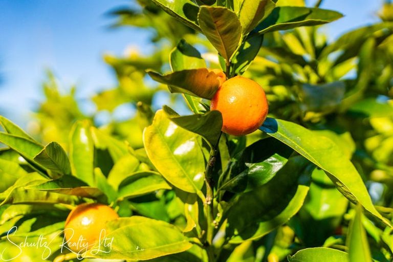 Photo of property in 1052 State Highway 12, Maungaturoto, 0583