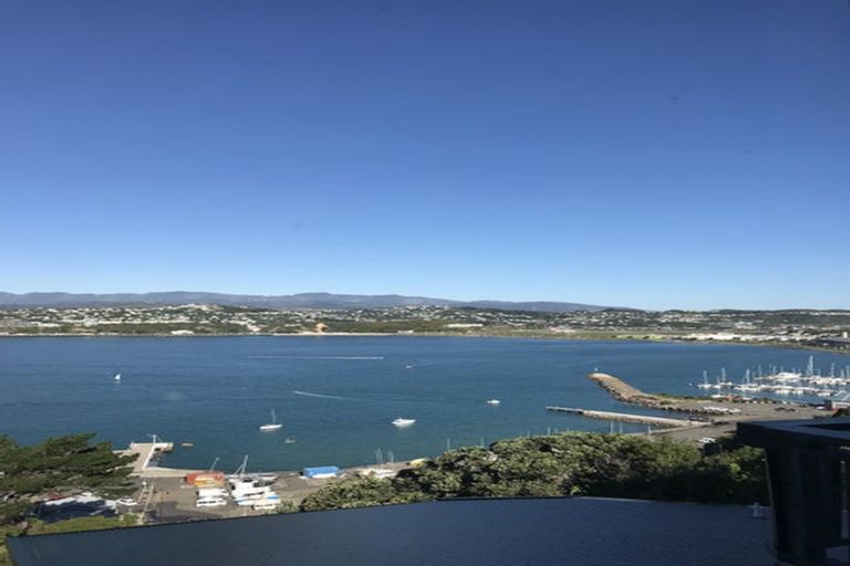 Photo of property in 55 Overtoun Terrace, Hataitai, Wellington, 6021