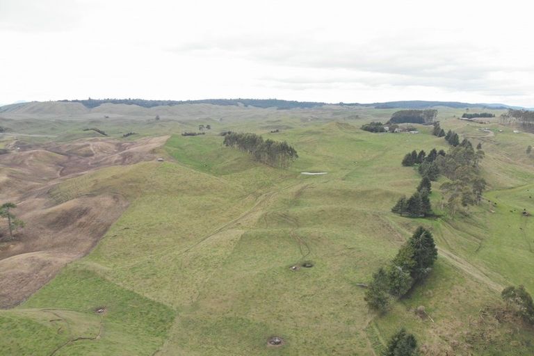 Photo of property in 473 Otake Road, Marotiri, Taupo, 3377