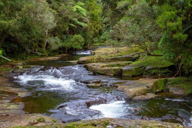 Photo of property in 454 Wainui Road South, Whakamarama, Katikati, 3181