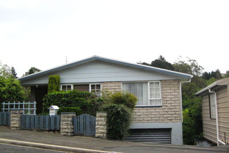Photo of property in 534 South Road, Calton Hill, Dunedin, 9012