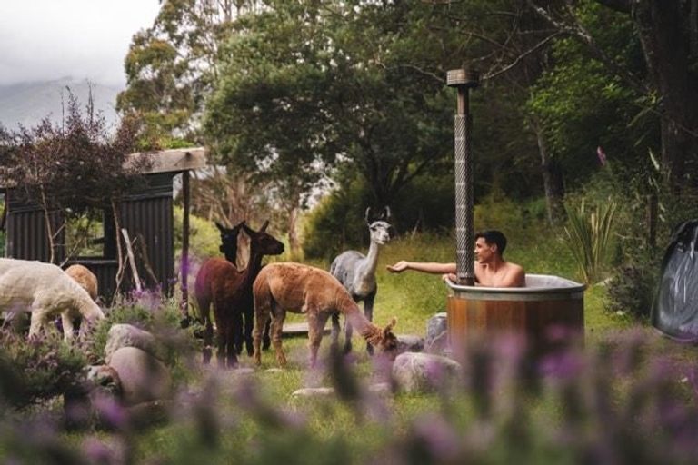 Photo of property in 272 Uruwhenua Road, Upper Takaka, Takaka, 7183