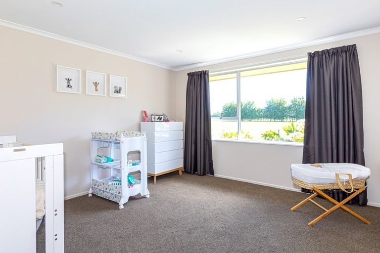 Photo of property in 233 Waipopo Road, Seadown, Timaru, 7973