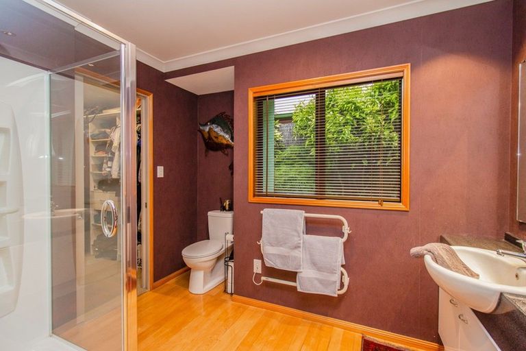 Photo of property in 17 Jackson Street, Springfield, Rotorua, 3015