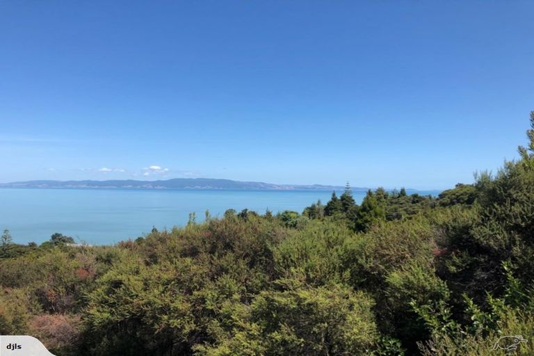 Photo of property in 45 Otuturu Crescent, Ruamahunga, Thames, 3575