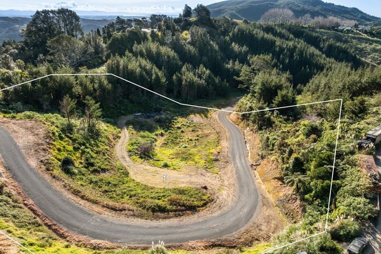 Photo of property in 225 Rocky Cutting Road, Waitao, Tauranga, 3175