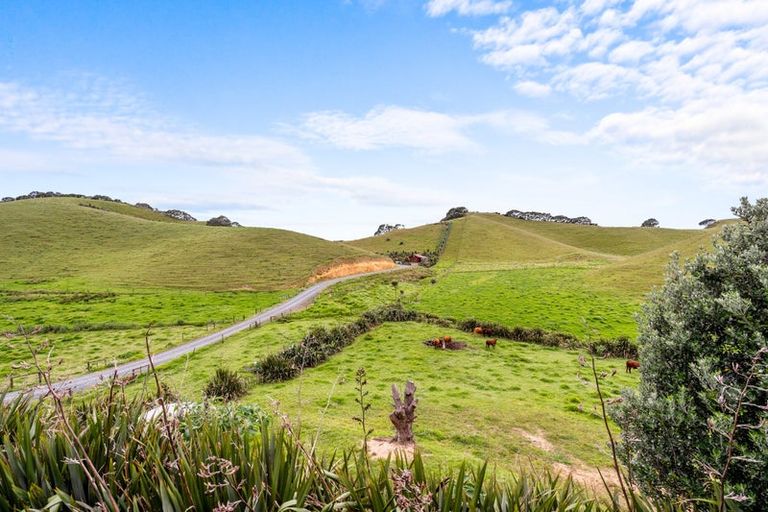 Photo of property in 168 Rockell Road, Whananaki, Hikurangi, 0181