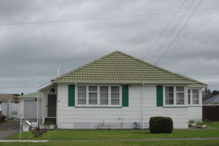 Photo of property in 55 Winchester Street, Levin, 5510