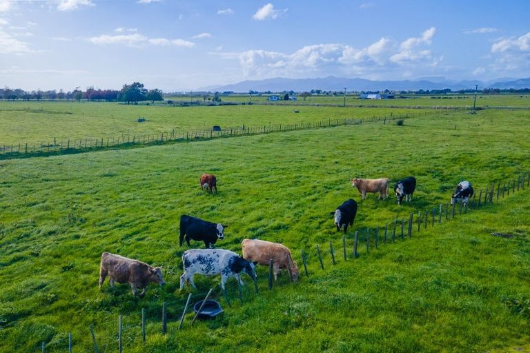 Photo of property in 293 River Road, Kawerau, 3127