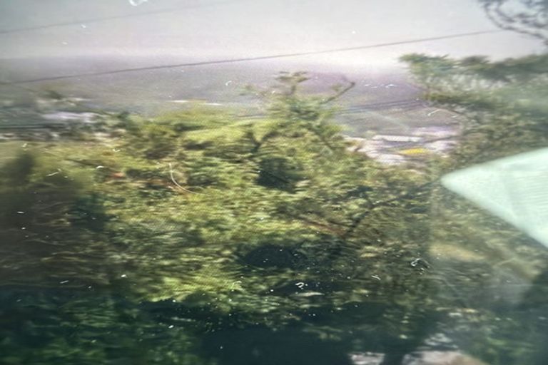 Photo of property in 43 Rangoon Street, Khandallah, Wellington, 6035