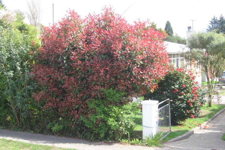 Photo of property in 634 Te Ngae Road, Owhata, Rotorua, 3010