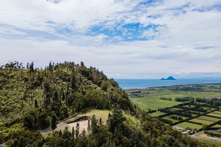 Photo of property in 207 Kokako Heights, Matata, 3194