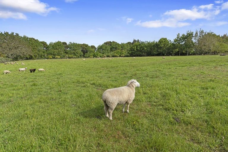 Photo of property in 37 Sunnyside Road, Coatesville, 0793