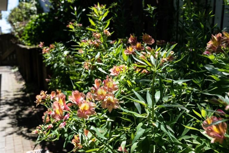 Photo of property in 2/130 Sandspit Road, Shelly Park, Auckland, 2014