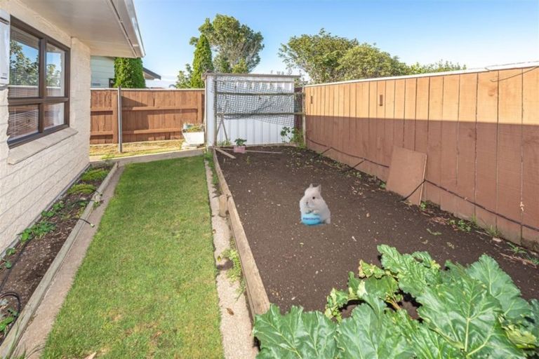 Photo of property in 79 Oxford Road, Springvale, Whanganui, 4501