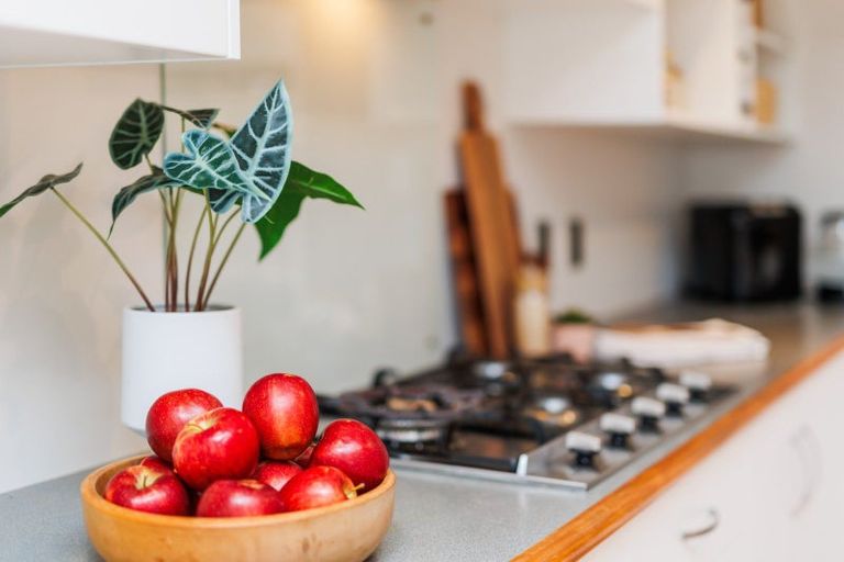 Photo of property in 8a Camden Street, Feilding, 4702